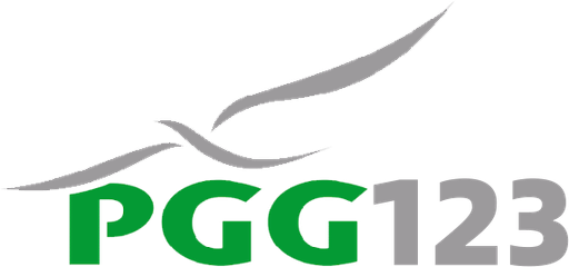 pgg123 Logo